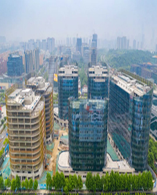 W020220616368906251961.jpg